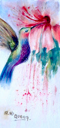Colibri