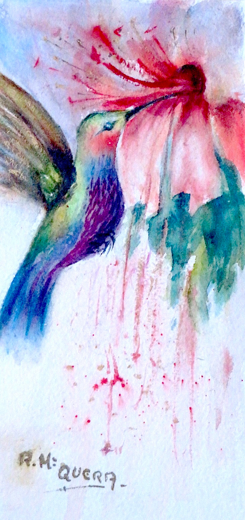 Colibri