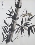 Serie Bambu 002