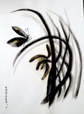 Serie Orquidias 001