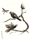 Serie Magnolia 001