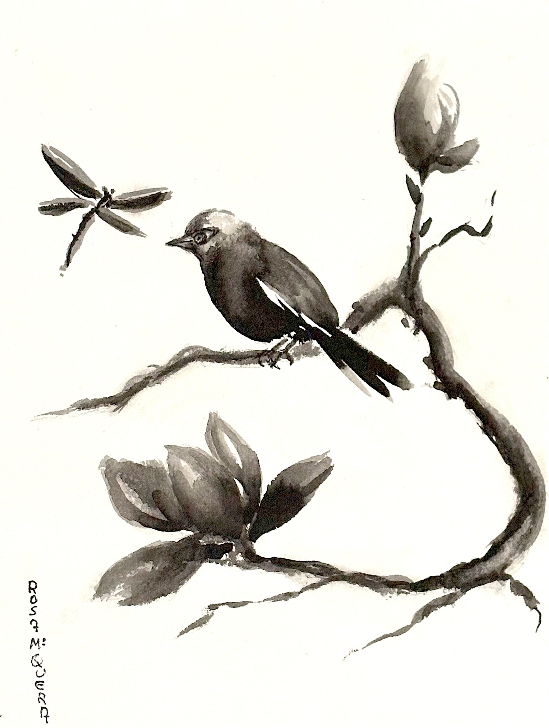 Serie Magnolia 001