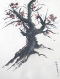 Serie Bonsai 001