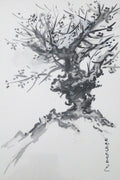 Serie Bonsai 002