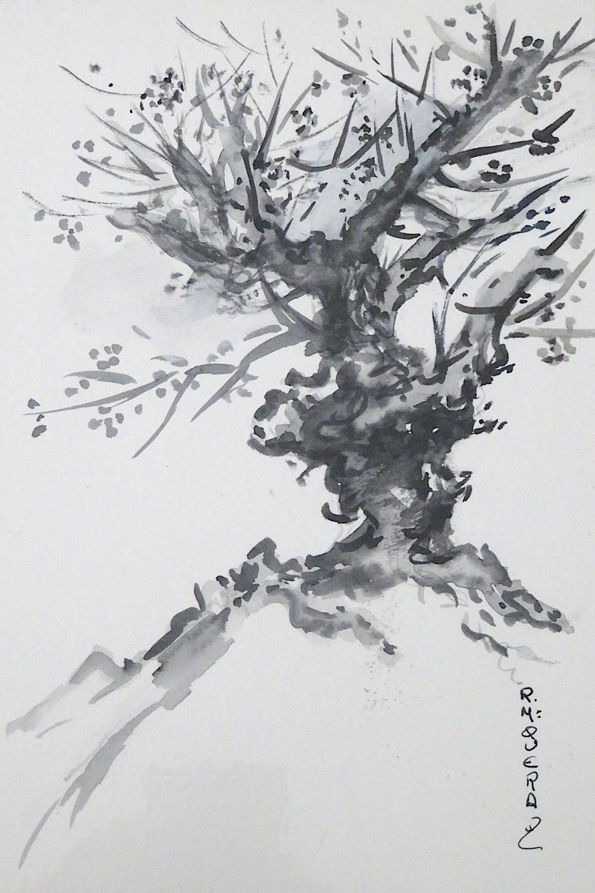 Serie Bonsai 002